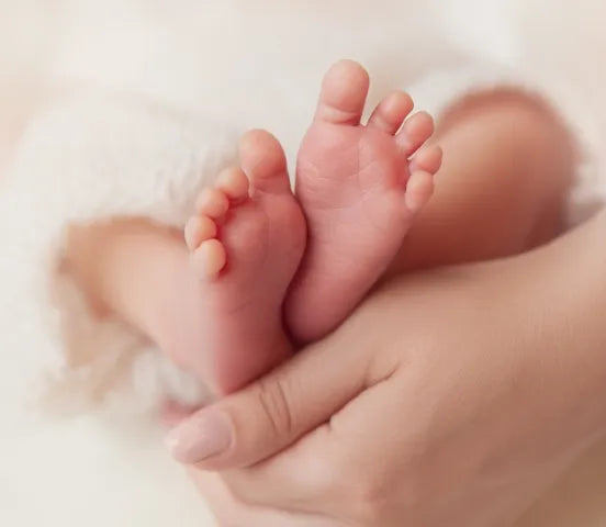 荻野屋ギフト - ご出産のお祝いに