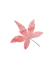 leaf5イメージ