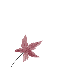 leaf7イメージ