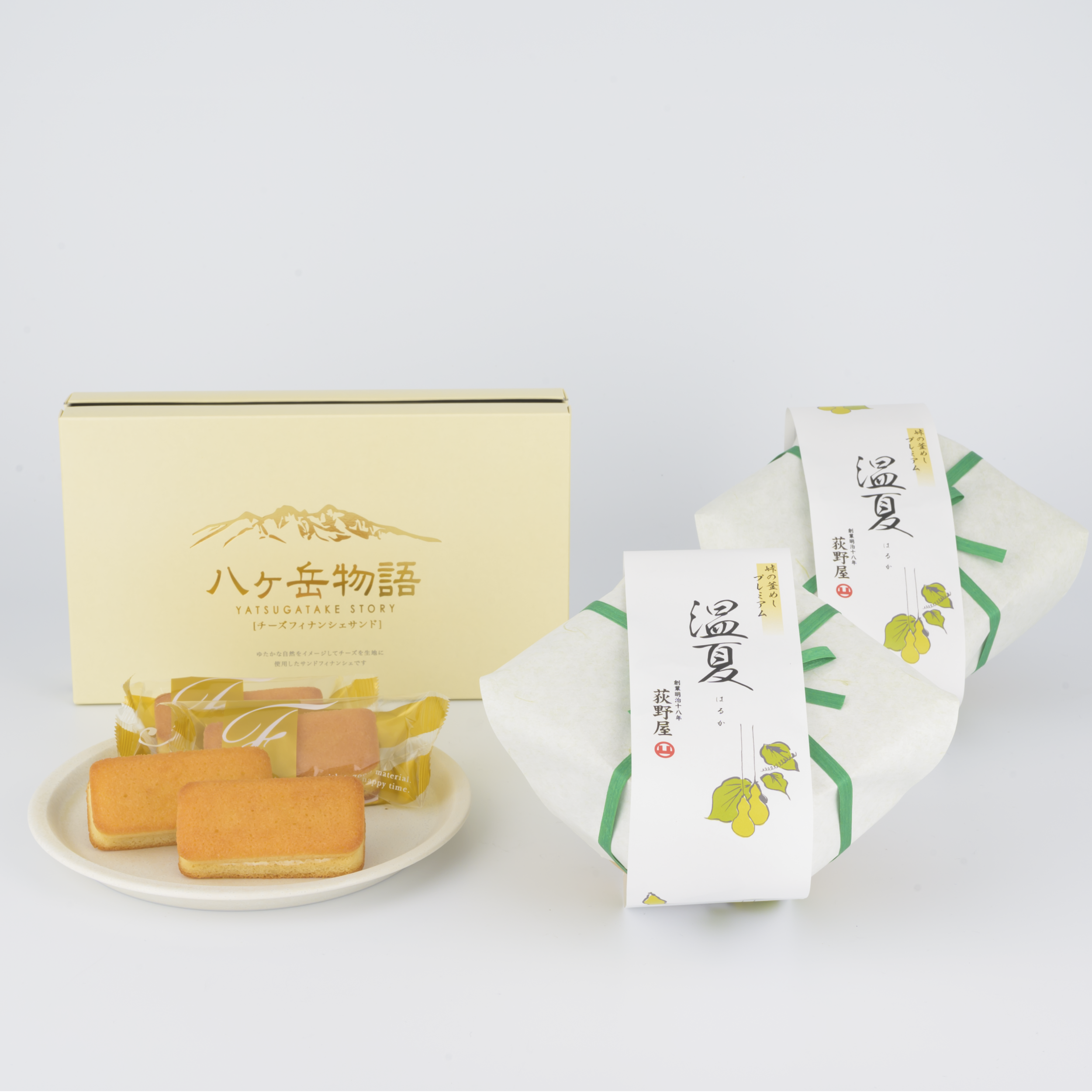 【お中元・夏ギフト】荻野屋が贈る夏の2品｜プレミアム釜めし温夏×八ヶ岳物語フィナンシェ【送料込】