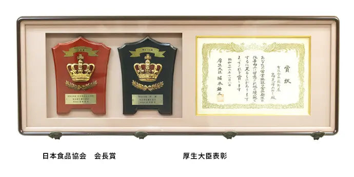 厚生大臣賞を受賞